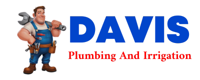 Trusted plumber in MENARD